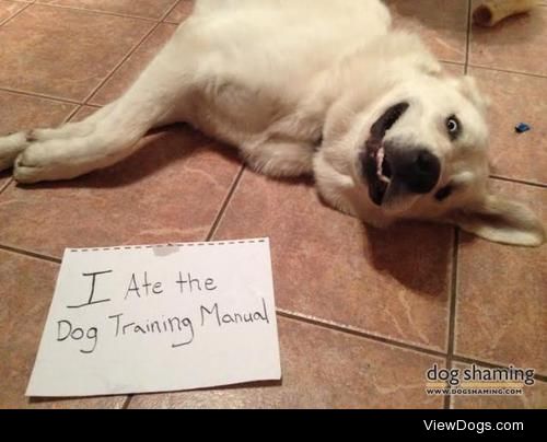 You can’t fix crazy

I ate the dog training manual.