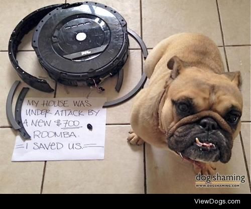 Bulldog vs. Roomba

“My house was under attack by a new $700…