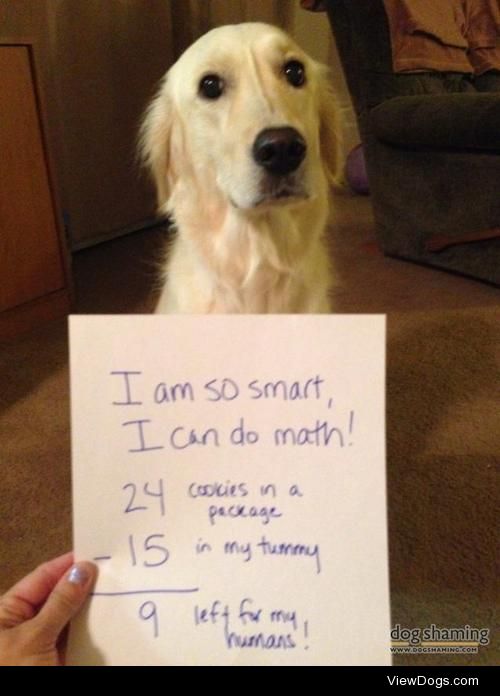 I can do math!

Kenzie loves to eat things that are left on the…