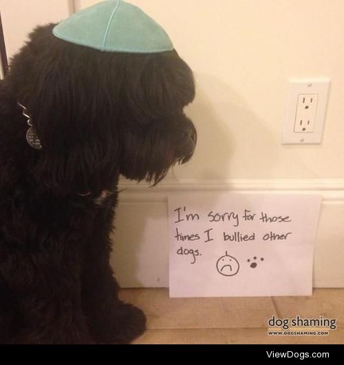 Yom Kip-pup

My dog atoning on Yom Kippur