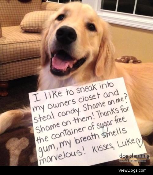 I Like to Steal Candy!
I like to sneak into my owners closet and…