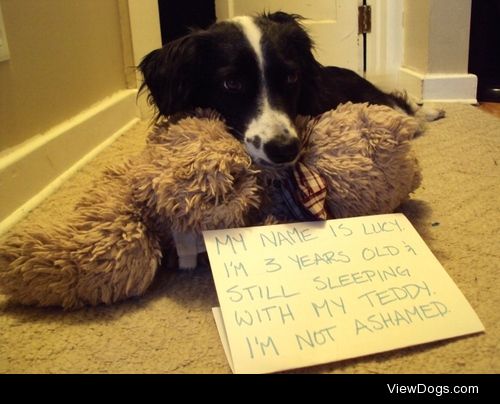 Lucy never grew out of the teddy bear phase

"My name is Lucy….
