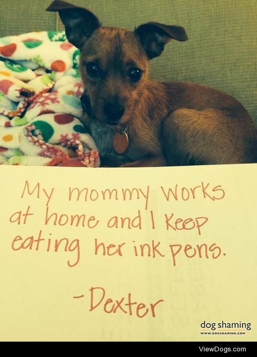 Working on my cursive

Dexter thinks my ink pens are the best…