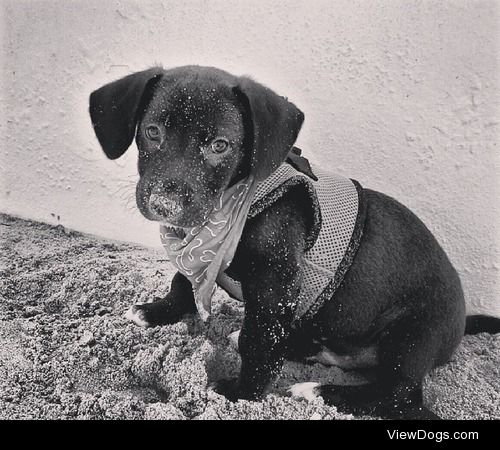 Hugo at the beach.  ((San Juan , Puerto Rico) 
You can check…