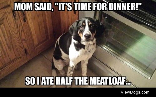 Well she did say it was time to eat….

Mom called my human…