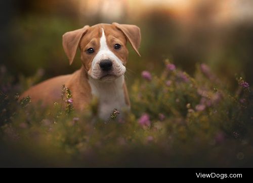 cuteness overload


Hannah Meinhardt