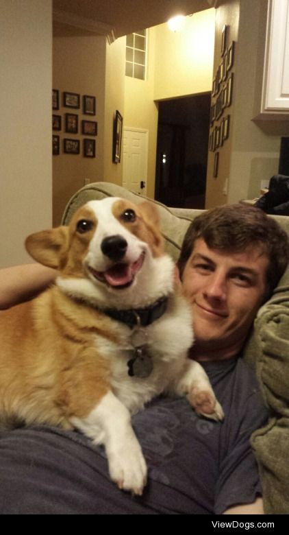 oliverthecorgi:

The face of a happy dog