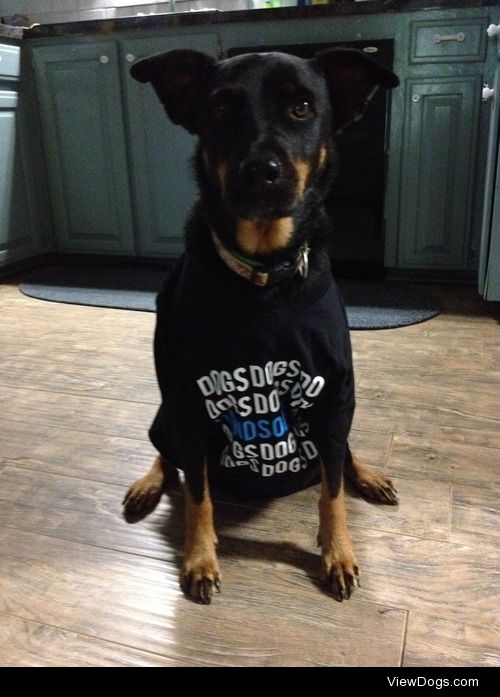 handsomedogs:

Handsomedogs’ t-shirt available once again!
In…