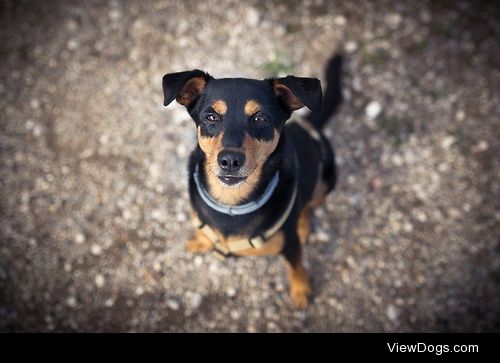 Cute Eyes


Luca Pelizzaro