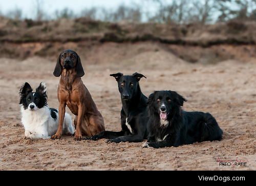 Das Quartett


Anna-Lena Gerharz Fotografie