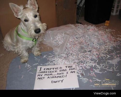 It’s trash day!

I emptied the shredder bag for my mom…and…