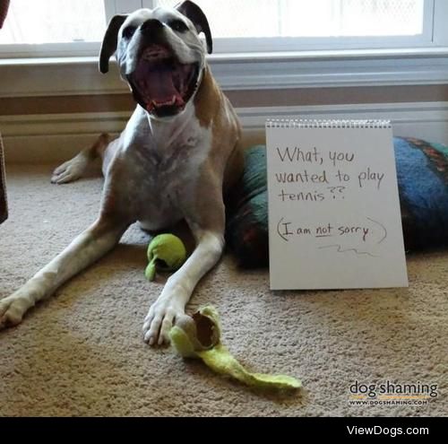 Oh, Balls!

Henry has his own idea of what to do with tennis…