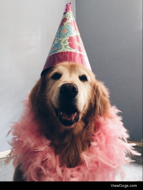 Suka celebrating her 11th birthday