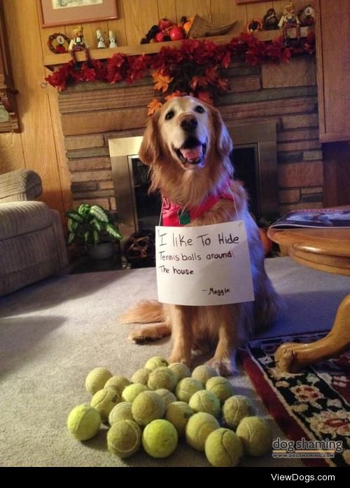 The old “hidden ball” trick

I Like to Hide Tennis Balls around…