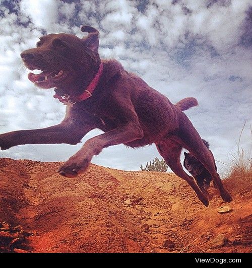 Running across red clay on the old prison farm.