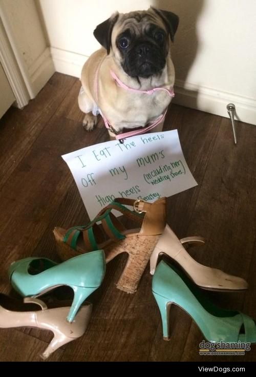 I h(ate) high heels

"I eat the heels off my mums high heels, (…