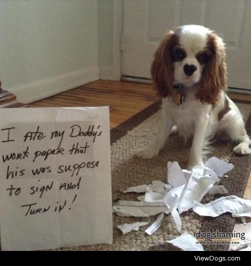 The adult version of “dog ate my homework!”

Tanner tried to ate…
