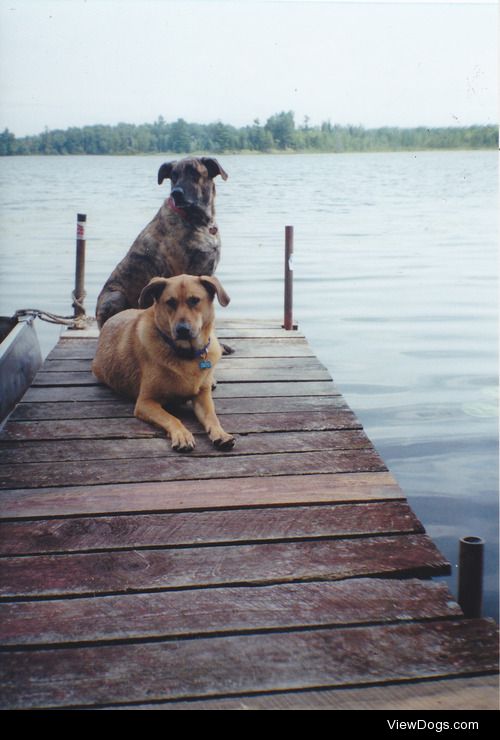 rylee-blue:


2004 – Rodney and Sadie in Hayward,…