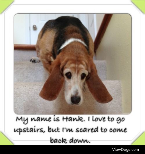 What goes up, must come down…eventually?

My name is Hank. I…