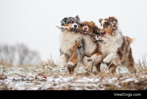 Teamwork


Annett Mirsberger