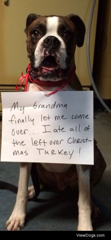 Oh, you turkey!

My grandma finally let me come over and I ate…