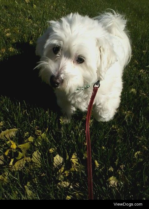 Little Liam enjoying the great outdoors