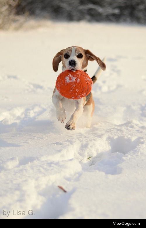 Jonny always has a lot of fun in the snow