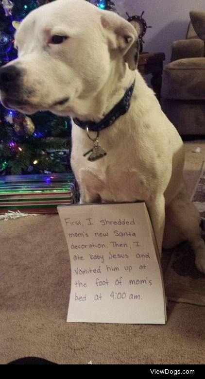 Sweet Baby Jesus!

"First, I shredded mom’s new Santa…