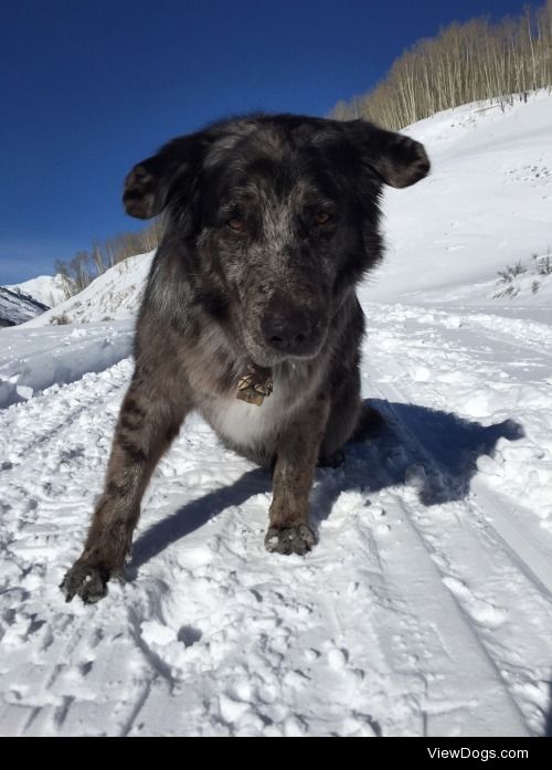 Jake – Christmas in Crested Butte