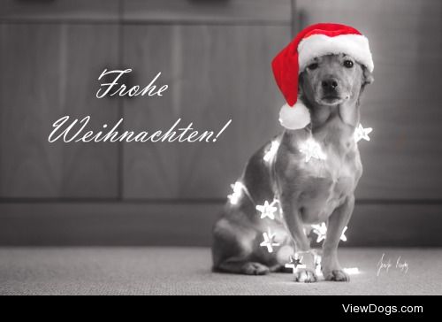 hadissima:

Frohe Weihnachten tumblr-Freunde :)