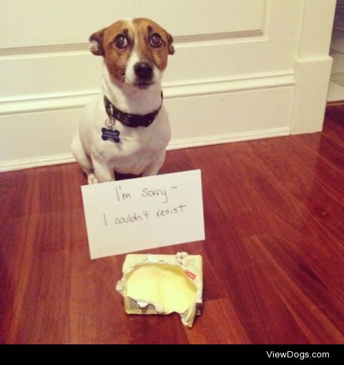 Butter get a bucket

Dad dropped the butter and forgot to pick…