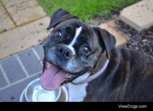 halcyon-sanctuary:

Misha loves to smile :)