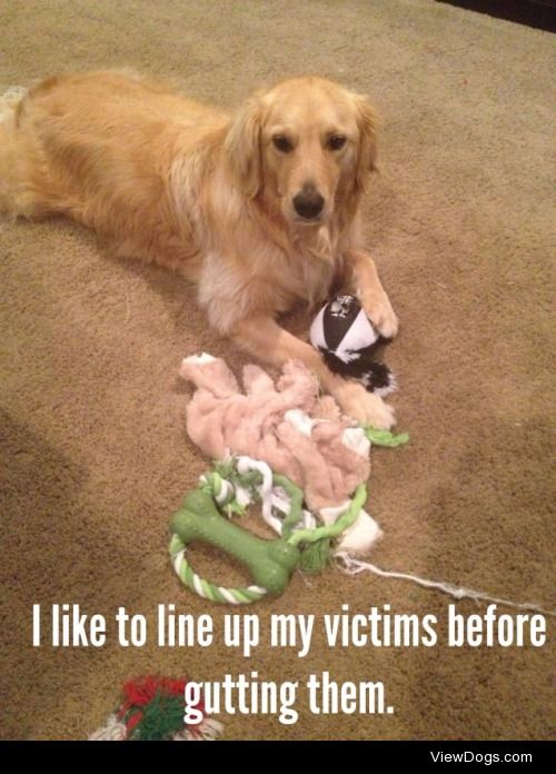 Premeditated Murder

Gracie loves to apart every toy she gets….