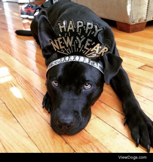 Bauer, formerly known as “Billy” would like to wish everyone a…