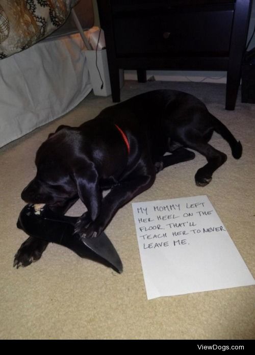 That’s what you get for going out!

"My mommy left her heel on…