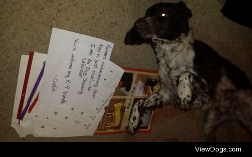Had it with dog shaming!

Codie had it with all the embarrassing…