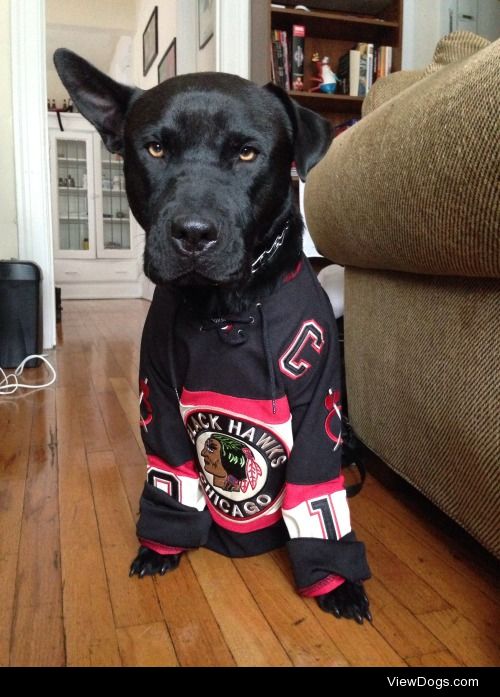 Bauer looking less than thrilled to be wearing moms Blackhawks…