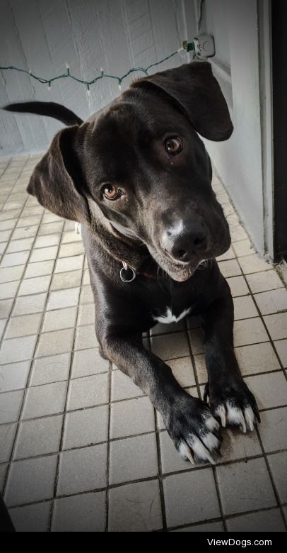 Baby Hugo is  getting bigger and handsomer.  
(Guaynabo, Puerto…