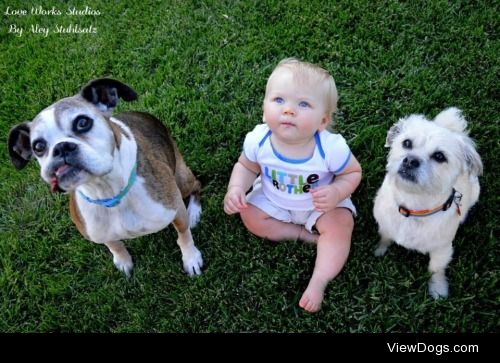 My three children, Billie Jean, Conway, and Lil Tink Tink….
