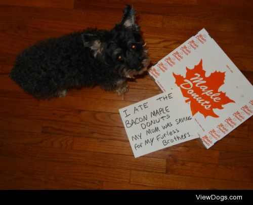 Stogie’s Donuts, eh?

I ate the bacon maple donuts my mom was…