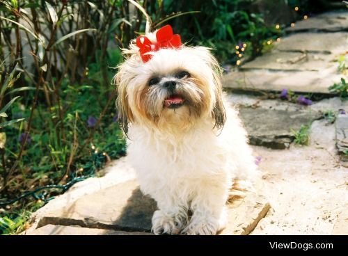 Linda in 2006.. she is now 15 years old!