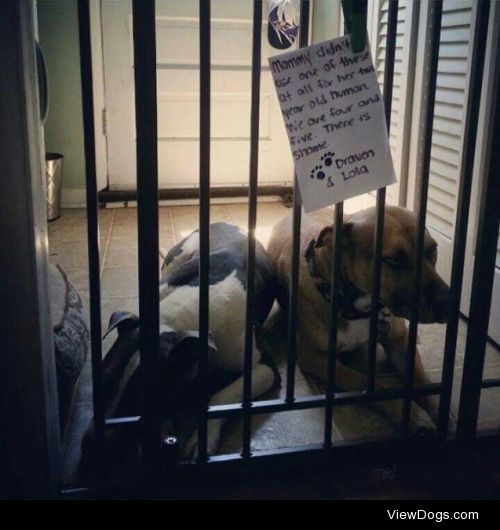 This Is The Pits…

"Mommy didn’t use one of these at all…