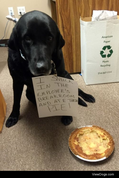 There’s Pie in the Lab

I snuck in the employee’s break…