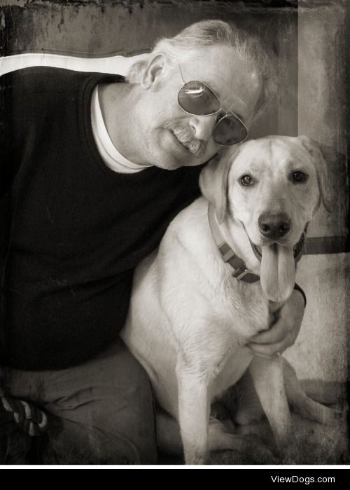 My beloved Yellow Labrador, Blizzard, at two years.  We’re…