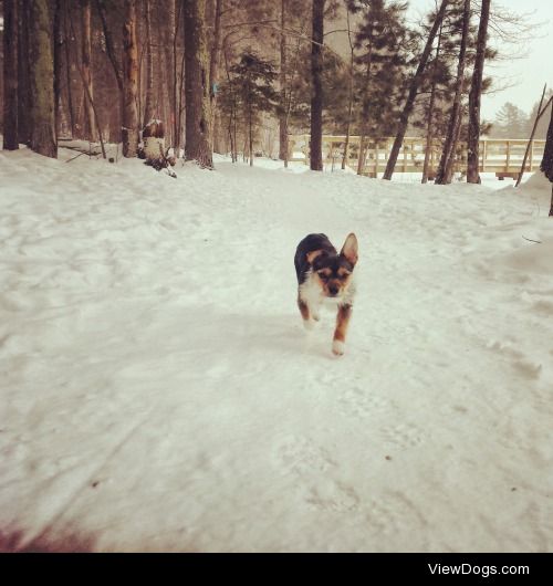 The cold can’t phase Oliver