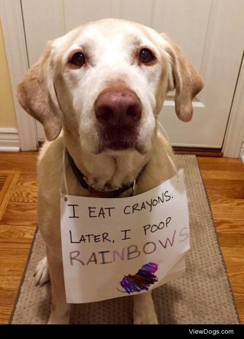 No pot of gold yet…..

"I eat crayons. Later, I poop rainbows."…