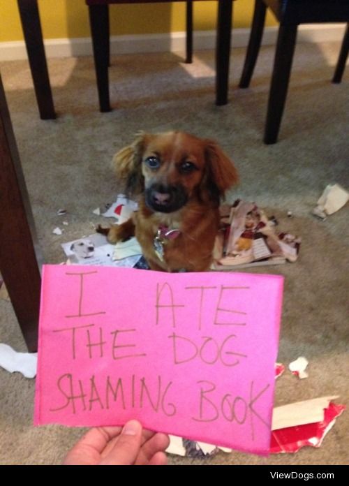 Truffle Ate the Dog Shaming Book

I bought The Dog Shaming book…
