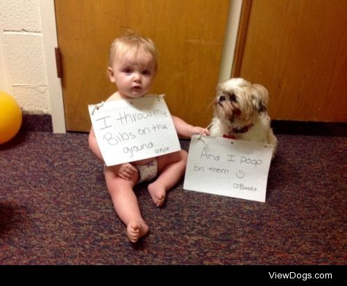 Partners in Crime

"I throw my bibs on the ground…." "And…