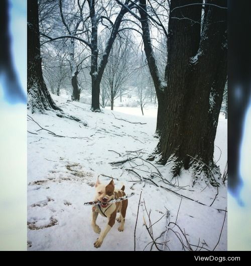 Enjoying the snow in Albany NY