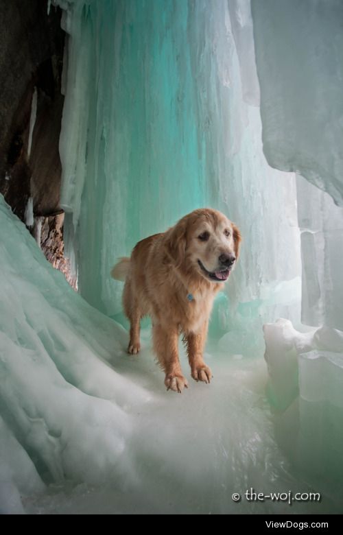 Venci exploring the ice curtains of Grand Island.  Munising, MI